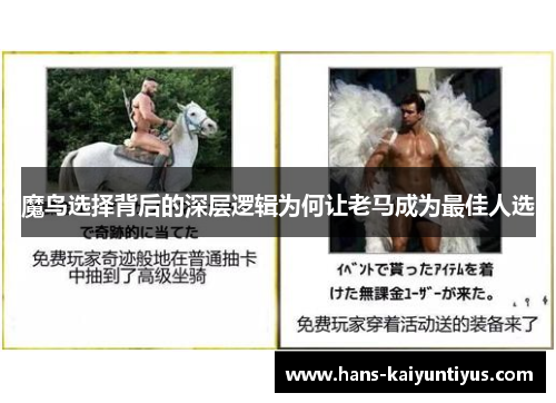 魔鸟选择背后的深层逻辑为何让老马成为最佳人选
