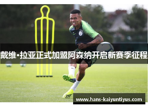 戴维·拉亚正式加盟阿森纳开启新赛季征程 戴维·拉亚正式加盟阿森纳开启新赛季征程