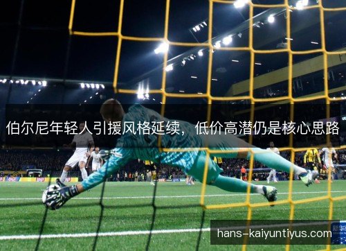 伯尔尼年轻人引援风格延续，低价高潜仍是核心思路