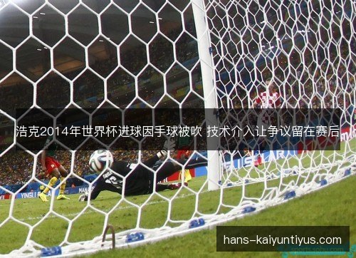 浩克2014年世界杯进球因手球被吹 技术介入让争议留在赛后